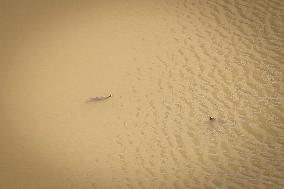 Drought In Catalonia