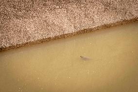 Drought In Catalonia