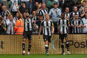 Newcastle United FC v Southampton FC - Premier League