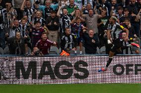 Newcastle United FC v Southampton FC - Premier League