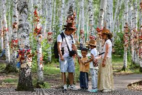 Erguna Birch Forest Scenic Spot in Hulunbuir