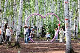 Erguna Birch Forest Scenic Spot in Hulunbuir