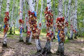 Erguna Birch Forest Scenic Spot in Hulunbuir