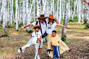 Erguna Birch Forest Scenic Spot in Hulunbuir