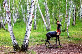 Erguna Birch Forest Scenic Spot in Hulunbuir