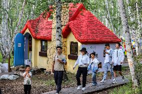 Erguna Birch Forest Scenic Spot in Hulunbuir