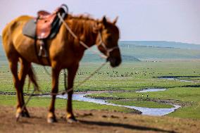 The Meandering Morgele River in Hulunbuir