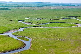 The Meandering Morgele River in Hulunbuir