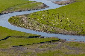 The Meandering Morgele River in Hulunbuir