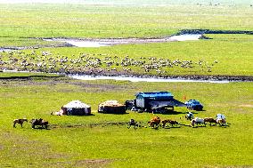 The Meandering Morgele River in Hulunbuir