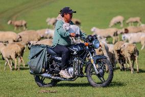 Animal Husbandry in The Endless Grasslands of Hulunbuir