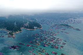 Marine Pastures in Fuzhou