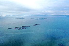 Marine Pastures in Fuzhou