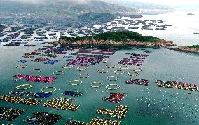 Marine Pastures in Fuzhou