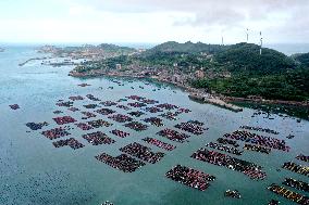 Marine Pastures in Fuzhou