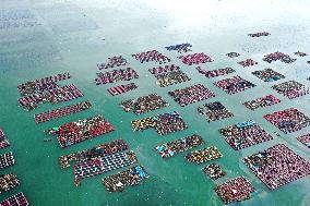 Marine Pastures in Fuzhou