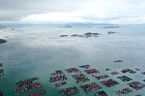 Marine Pastures in Fuzhou