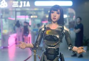 AI Humanoid Robot