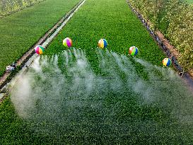 Hydrogen Balloon Irrigation Agriculture in Suqian