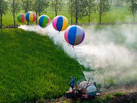 Hydrogen Balloon Irrigation Agriculture in Suqian