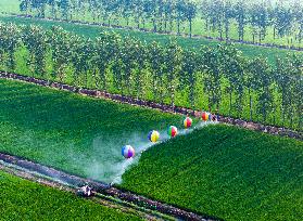 Hydrogen Balloon Irrigation Agriculture in Suqian