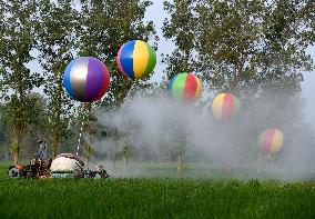 Hydrogen Balloon Irrigation Agriculture in Suqian