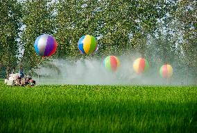 Hydrogen Balloon Irrigation Agriculture in Suqian