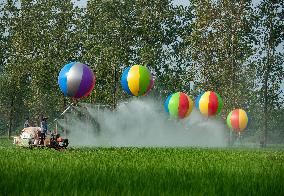 Hydrogen Balloon Irrigation Agriculture in Suqian