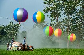 Hydrogen Balloon Irrigation Agriculture in Suqian