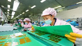 A Flexible Circuit Board Production Line in Suining