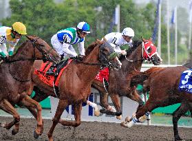 Thoroughbred Horse Racing At Woodbine Racetrack - August 17, 2024