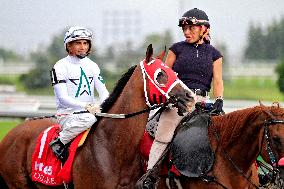 Thoroughbred Horse Racing At Woodbine Racetrack - August 17, 2024