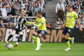 Newcastle United FC v Southampton FC - Premier League