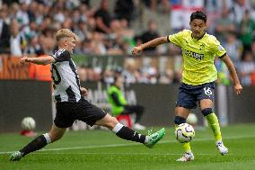 Newcastle United FC v Southampton FC - Premier League