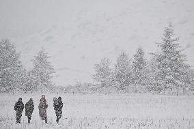 Snowfall In Springfield - New Zealand