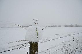 Snowfall In Springfield - New Zealand