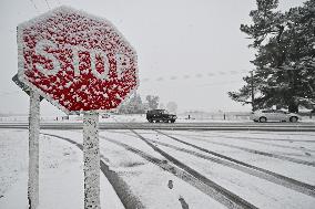 Snowfall In Springfield - New Zealand