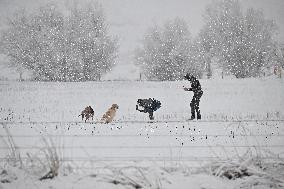 Snowfall In Springfield - New Zealand