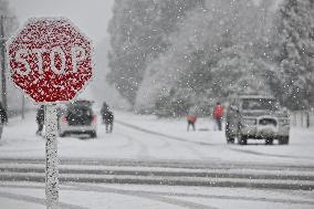 Snowfall In Springfield - New Zealand