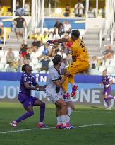 Italian soccer Serie A match - Parma Calcio vs ACF Fiorentina