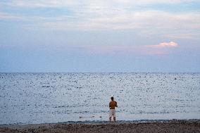 Daily Life In San Cataldo, Lecce