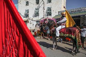 Sufi Procession In Tunisia