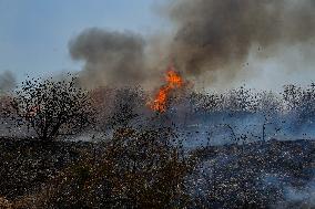 Wildfires Following Rocket Attacks From Lebanon - Israel