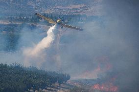 Wildfires Following Rocket Attacks From Lebanon - Israel