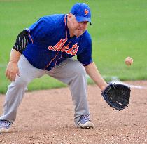 Brampton Men's Recreational Baseball League