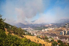 Wildfires Rage In Izmir Province - Turkey