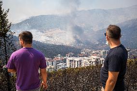 Wildfires Rage In Izmir Province - Turkey