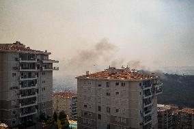 Wildfires Rage In Izmir Province - Turkey