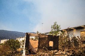 Wildfires Rage In Izmir Province - Turkey