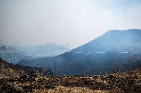 Wildfires Rage In Izmir Province - Turkey